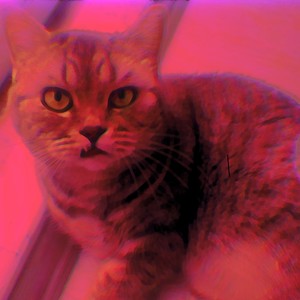 I Don't Wanna (Explicit)