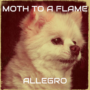 Moth to a Flame