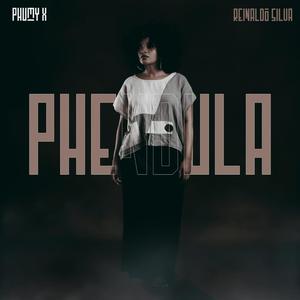 Phendula