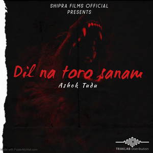 Dil Na Toro Sanam