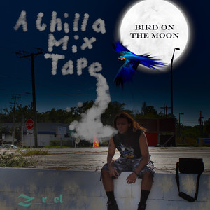 Bird on the Moon: A Chilla Mixtape (Explicit)
