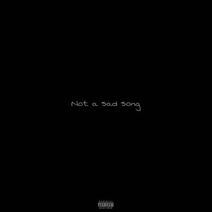 Not A Sad Song (feat. Liszto)