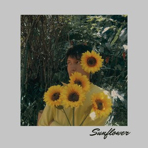 Sunflower (Video Version)