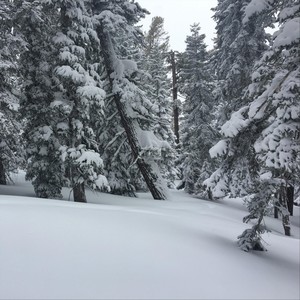 C'este La Vie and We Still Have Sushi