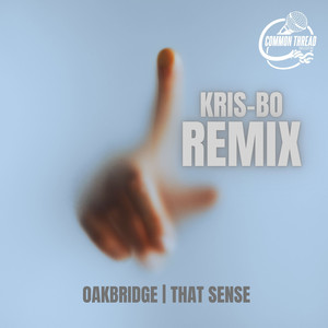 That Sense (Kris-Bo Remix)