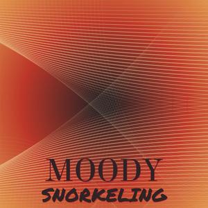 Moody Snorkeling