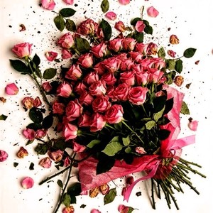 承認欲求 ―狡猾な言い訳―