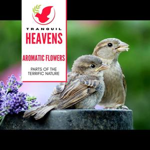 Aromatic Flowers- Parts of the Terrific Nature