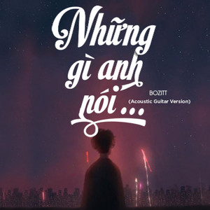 Những Gì Anh Nói (Acoustic)