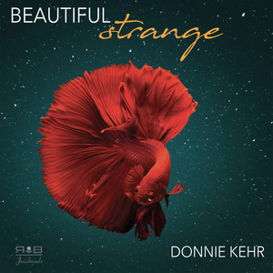 Donnie Kehr - Over You