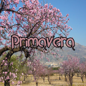 Primavera