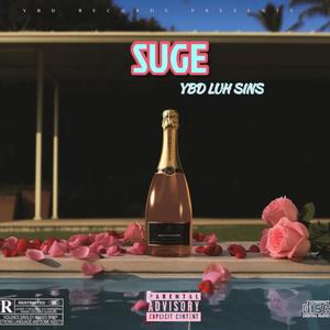 Suge (feat. YBD LUH MIKE) (Explicit)