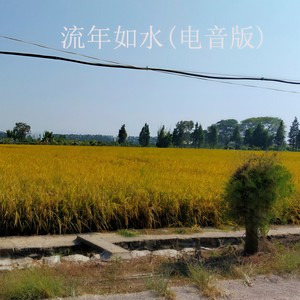 流年如水