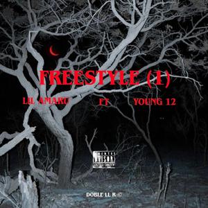 Freestyle (1) (feat. Young 12) (Explicit)