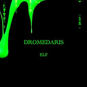Dromedaris (Explicit)