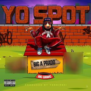 Yo Spot (Explicit)