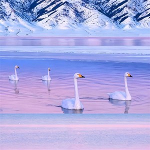 李雪萌. - 请问你现在那边是几点 (氛围版)