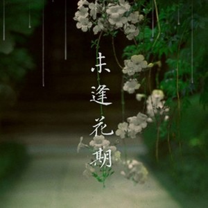 未逢花期