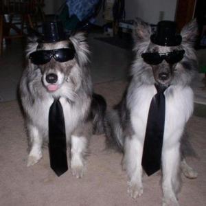 Aunq No Me Quiera (Explicit)