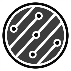 The Palms (Original Mix)