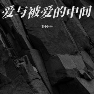 星霜未融封面