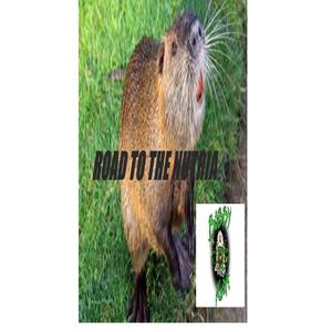 Road to the Nutria