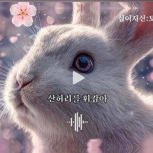 多情的生肖兔（토끼 들어온다）