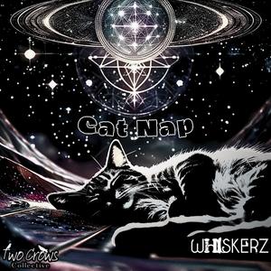 Cat Nap