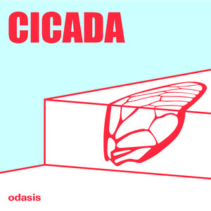 Cicada