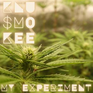 MY EXPERIMENT (Explicit)