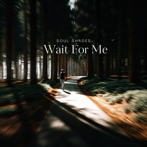 Wait For Me