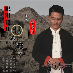 眼泪花儿把心淹了封面
