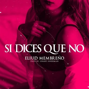 Si Dices Que No
