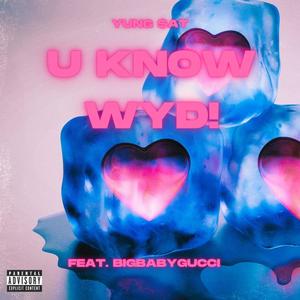 U Know WYD (feat. BIGBABYGUCCI) [Explicit]