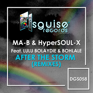 After The Storm (Remixes)