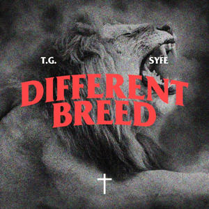 DIFFERENT BREED (feat. SYFE)