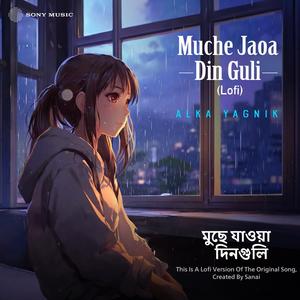 Muche Jaoa Din Guli Female Version (Lofi)