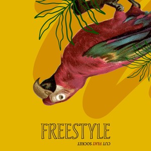 Freestyle