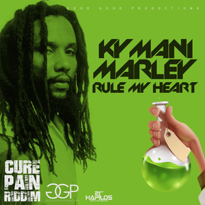 Ky-mani Marley - Rule My Heart