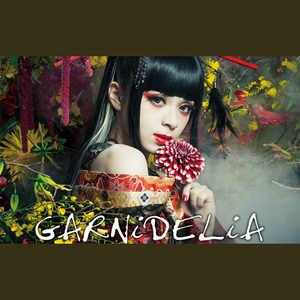 「二胡」极乐净土 1.33倍速