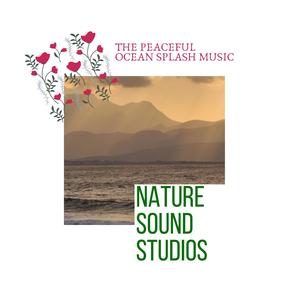 Nature Sound Studios - The Peaceful Ocean Splash Music