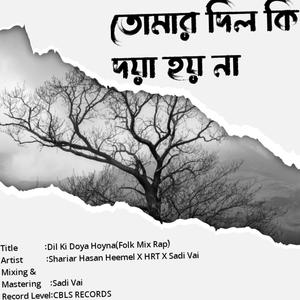 Dil Ki Doya Hoy Na (feat. Sadi Vai & Shariar Hasan Heemel) (Folk Rap Mix)