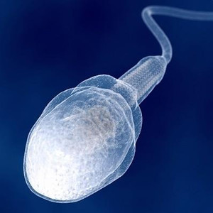 Spermdealer (Explicit)