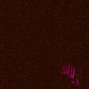 Freestyle Image (Explicit)