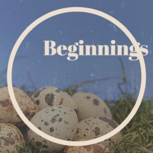 Symphony Pizz In Fun Major