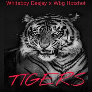 Tigers (feat. Wbg Hotshot) [Explicit]