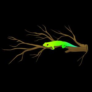 Lizardz (Explicit)