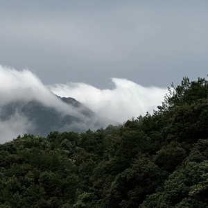 海洋少年和灯塔女孩