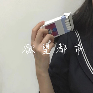 天龙十二门封面
