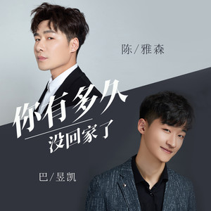 陈雅森 - 你有多久没回家了 (伴奏)